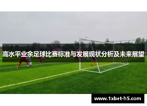 高水平业余足球比赛标准与发展现状分析及未来展望 高水平业余足球比赛标准与发展现状分析及未来展望